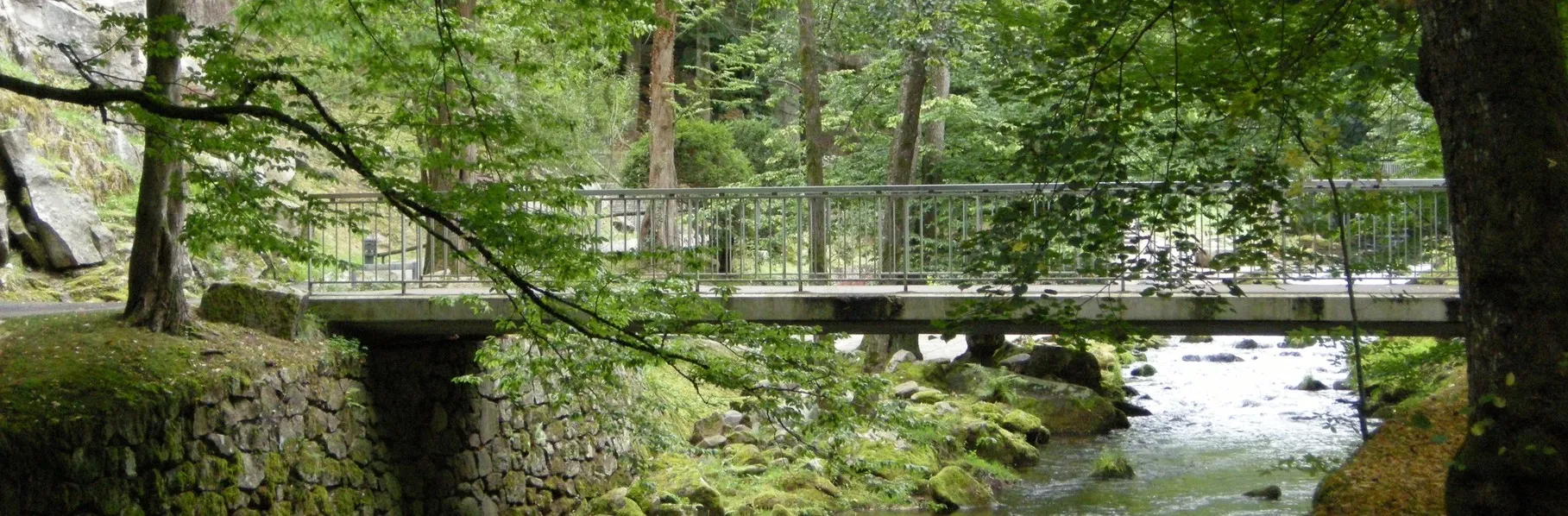Brücke über einen Bachlauf im Wald